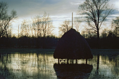 1_SP054_4DR