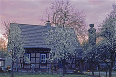 1_SP055DR