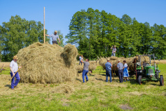 DSF4059-Verbessert-NR-2