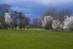 DSF9136-Verbessert-NR