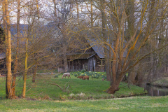 DSF9304-Verbessert-NR