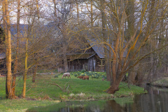 DSF9304-Verbessert-NR2