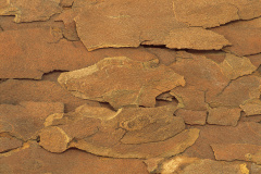 NN229DR