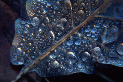 Wasser