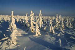 Winterlandschaften