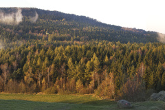 DSCF5774DRPan