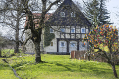 DSCF9965-Verbessert-NR