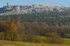 Hochwald